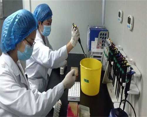 我国试管婴儿占新生儿的比例