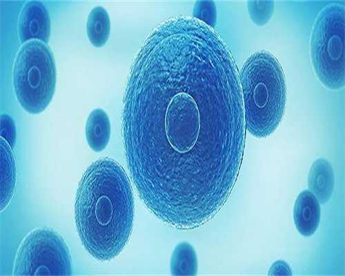 孕妇吃枸杞的注意事项？孕妇吃枸杞可以补血吗