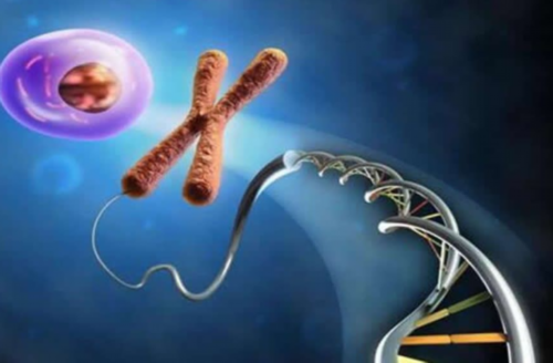 52岁闭经能做试管吗