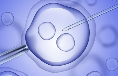 试管婴儿手术后能性生活吗